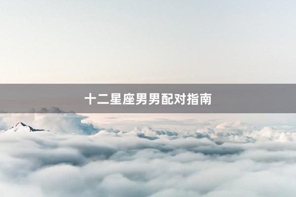 十二星座男男配对指南