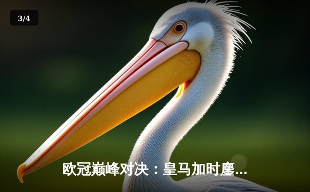 欧冠巅峰对决：皇马加时鏖战逆转曼城 本泽马上演帽子戏法 - 3